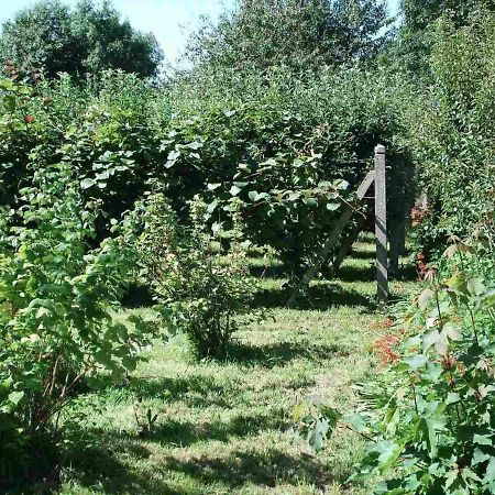 Le Clos Des Tilleuls La Vendelee Luaran gambar