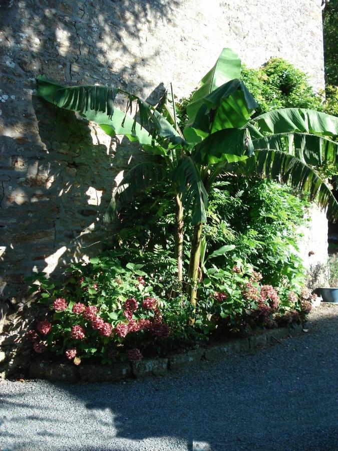 Le Clos Des Tilleuls La Vendelee Luaran gambar